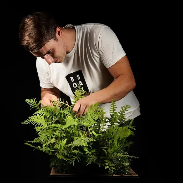 Bonsai